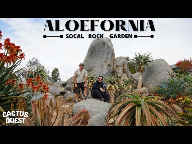 Palm grower turned succulent obsessed transforms natural bolder yard into epic hillside rock Garden!