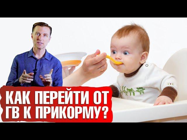 Первый прикорм ребенка: правильное введение прикорма