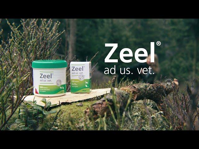 Zeel® ad us. vet.