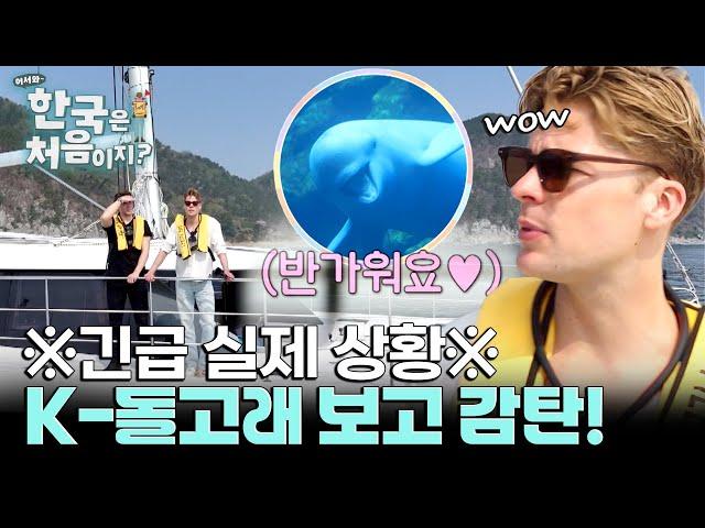 촬영 중 K-돌고래 등장?! 운명처럼 마주친 레전드 순간 l #어서와한국은처음이지 l #MBCevery1 l EP.404
