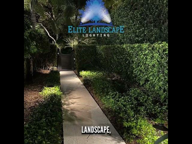Elite Landscape Lighting - Revamp Your Outdoor Space