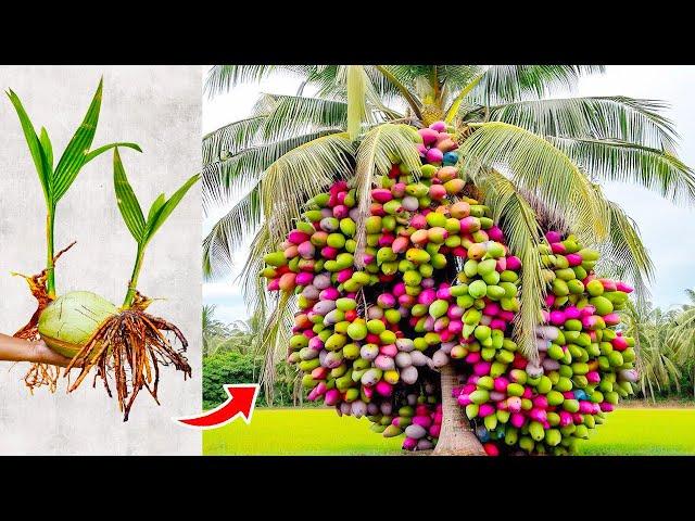 20 Most Unique Fruits You've Never Heard Of