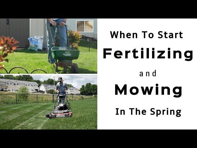 Spring Lawn Care Tips - When To Start Fertilizing and Mowing Your Lawn In The Spring