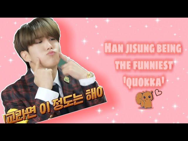 Han jisung being the funniest 'quokka' ever