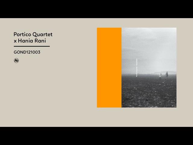 Portico Quartet / Hania Rani (Official EP Video)