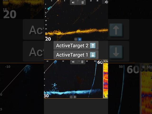 ActiveTarget 1 VS ActiveTarget 2 #shorts #lowrance #activetarget