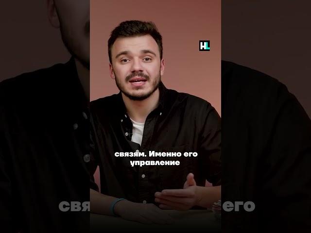 Работа Путина в Петербурге #шаведдинов