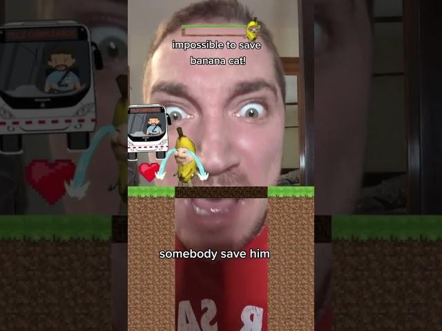 top five @apothary1 saved banana cat videos 