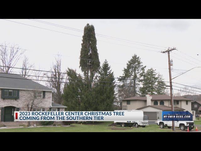 2023 Rockefeller Center Christmas Tree coming from Vestal, New York