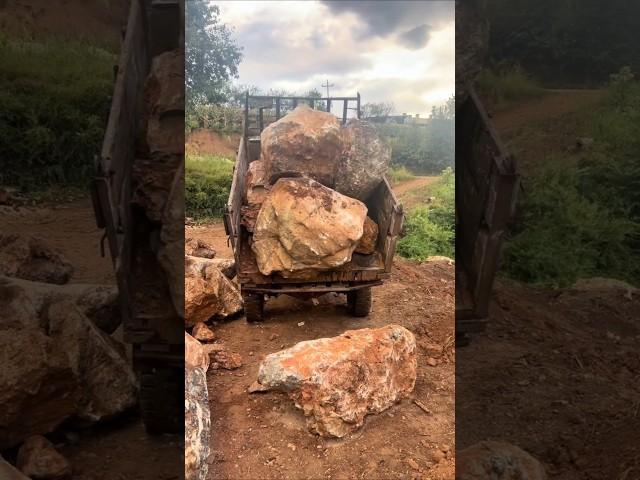 Farm vehicle unloading stones#shorts