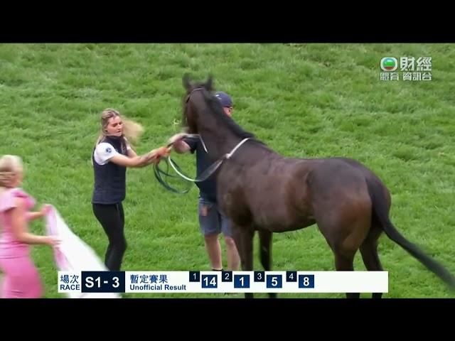 2023 PFD Food Services Crockett Stakes (Listed) - Gumdrops (甜軟糖) - D.Lane