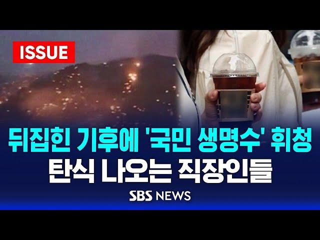 뒤집힌 기후에 '국민 생명수' 휘청…탄식 나오는 직장인들 (이슈라이브) / SBS