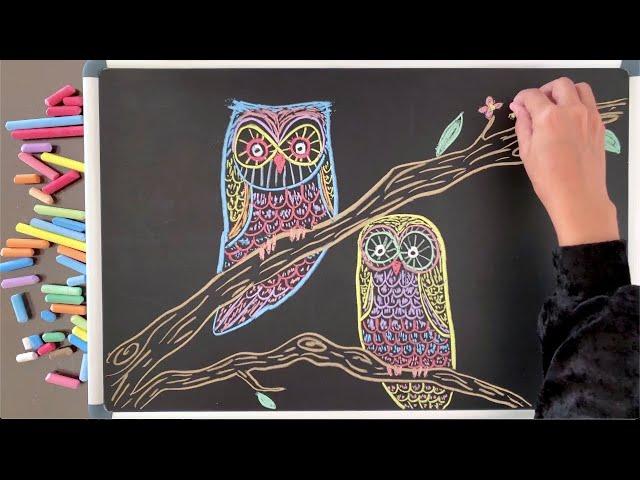 Let's Draw Some Owls  8 HOURS of Relaxing Chalk Art & Music