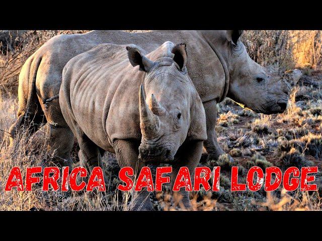 Africa Safari Lodge near Mariental, Namibia, southern Africa, game drive