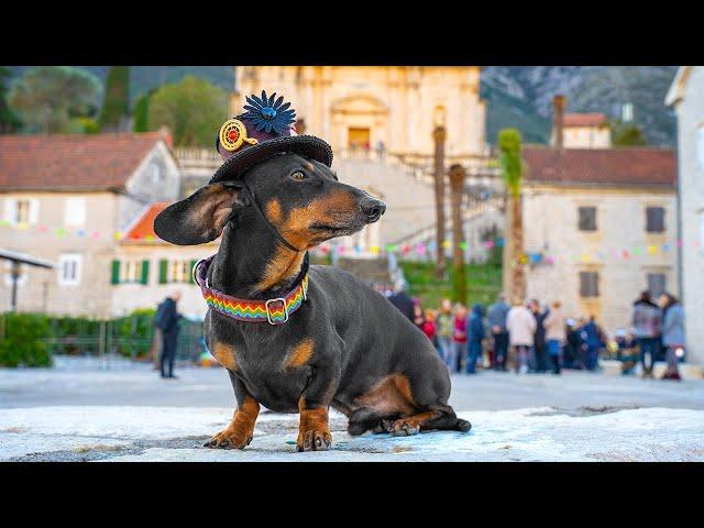 Kotor — the most beautiful city of Montenegro!