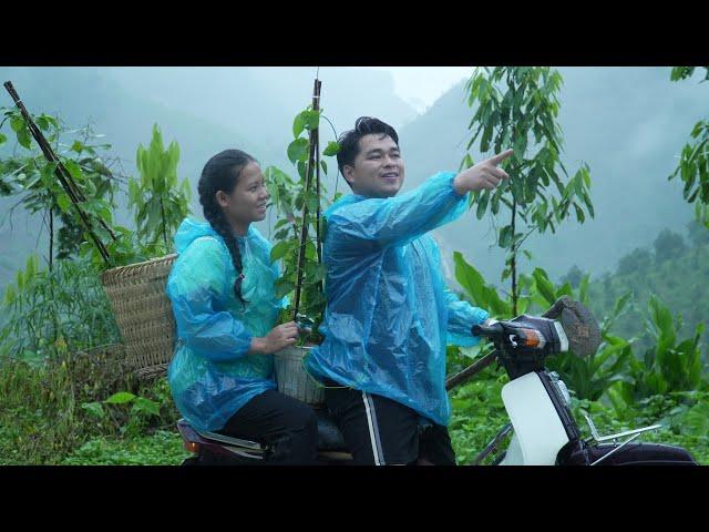 In the rain, CEO Hung and Ly Tieu Ca plant trees together | Simple love
