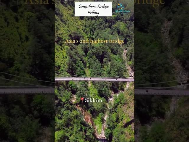 Singshore Bridge / Pelling #shorts #short #youtubeshorts #shortsfeed #shortvideo #subscribe #viral