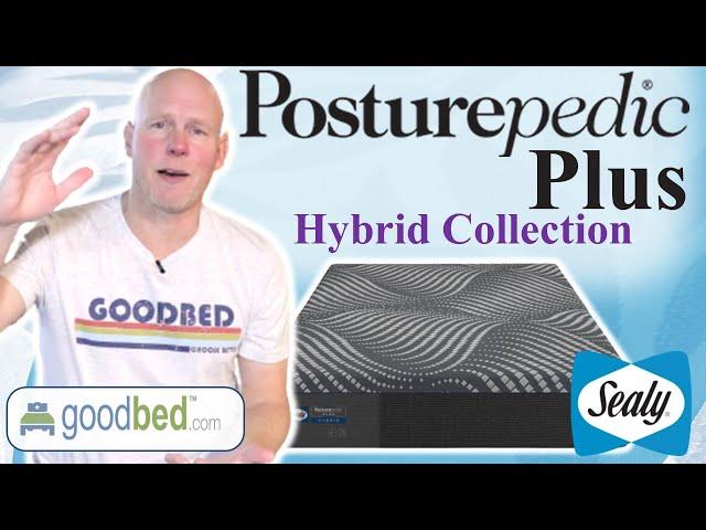 Sealy Posturepedic Plus Hybrid (2021-present) Mattress Collection EXPLAINED by GoodBed.com