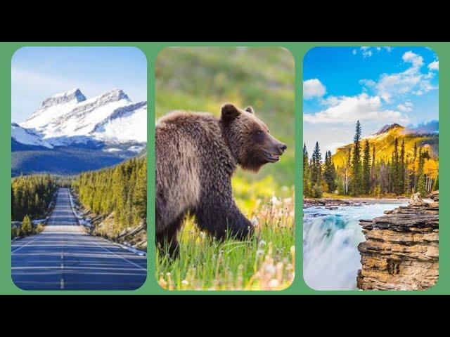 Canadian Rockies Route Trip  #canada #canadianrockies #lake #beer