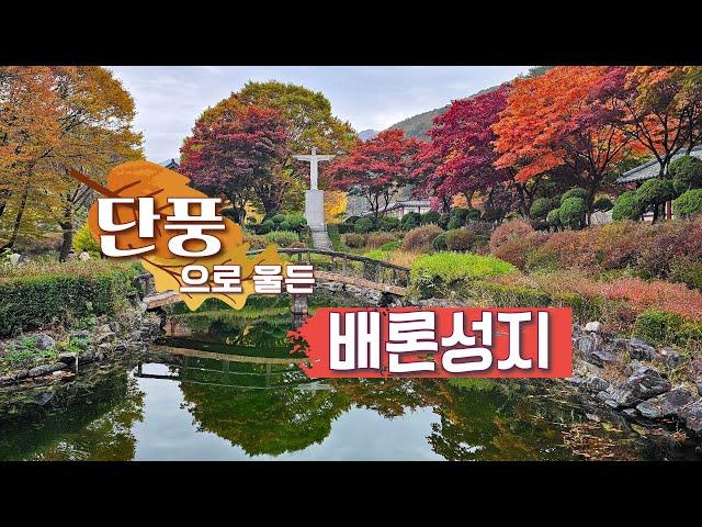 단풍으로 물든  배론성지 -구경도 하고 성지 역사도 알아보기(2024. 11.1)#배론성지가을단풍#황사영토굴#성요셉신학교#최양업신부#마음을비우는연못#인생미로#천주교원주교구순례길