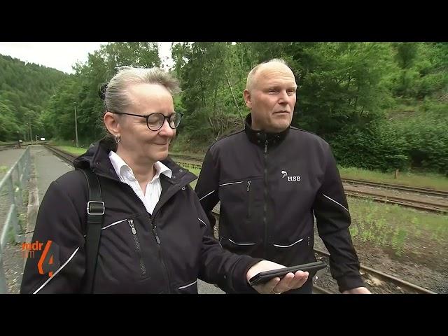 Fuchs "überfällt" Gäste der Harzer Schmalspurbahn