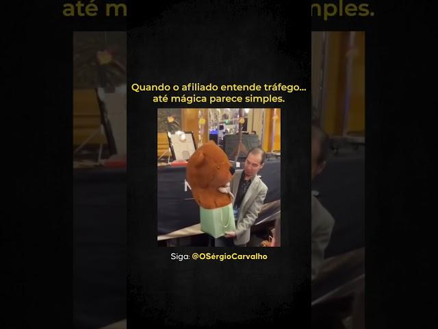 O poder do tráfego pago bem feito!