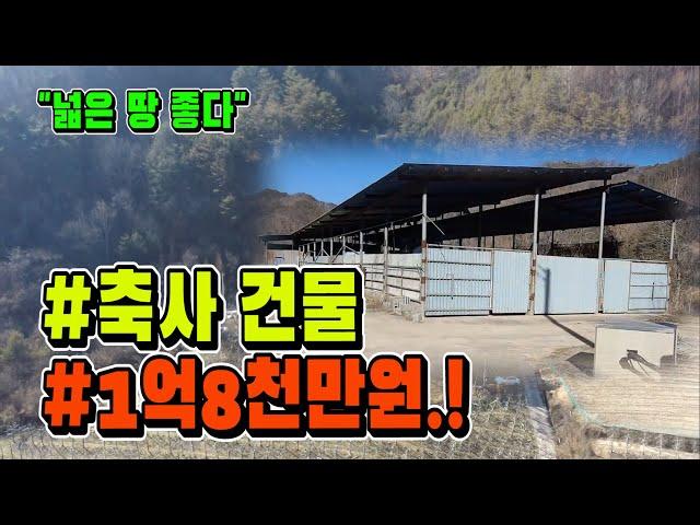 축사+넓은 땅 매매. 산 아래 양지 바른 곳에 생활 터전을 만들어 보세요.! [매물704]