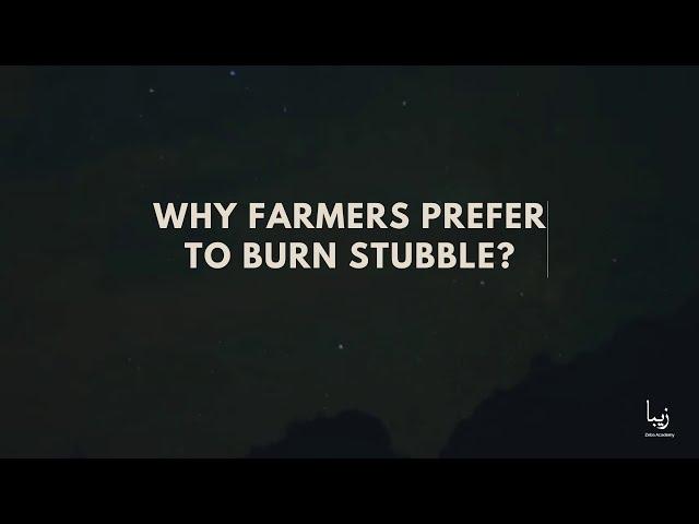 Stubble Burning: Its Effect on Environment and Health