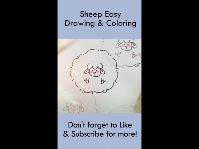 Sheep Easy Drawing and Coloring #Shorts