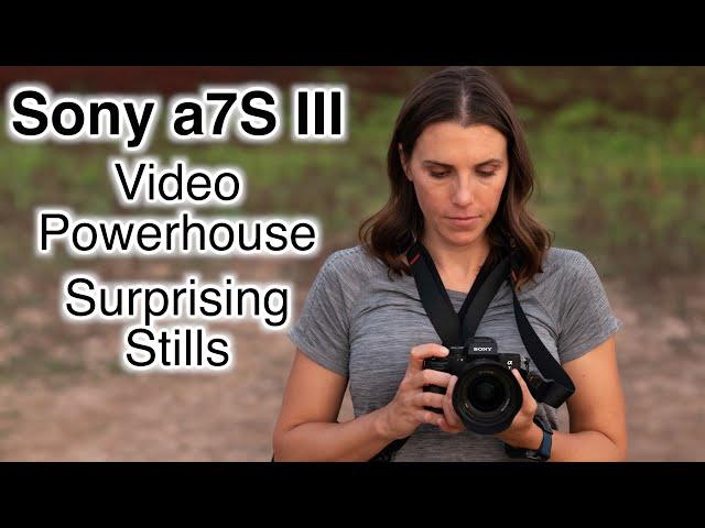 Sony a7S III Review - A Video Powerhouse with Surprising Stills Capability!