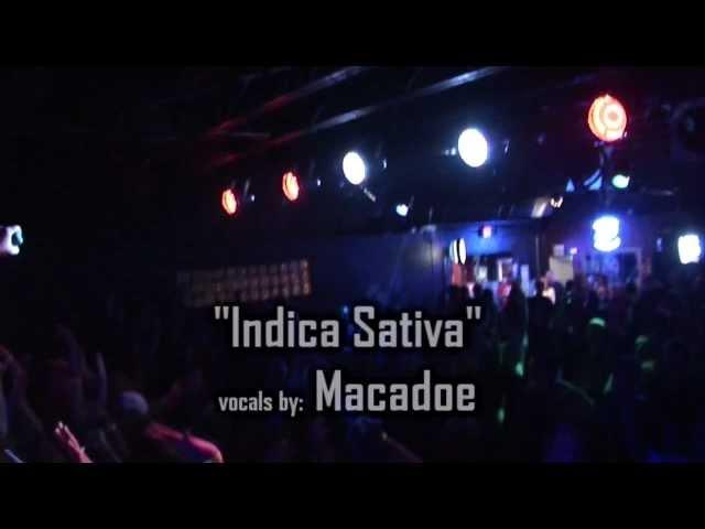 MaCaATIC TV (Macadoe "Indica Sativa")
