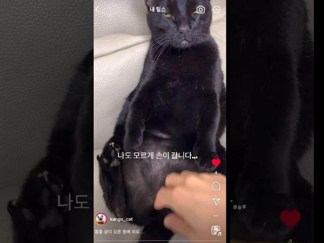 나도 모르게 손이 갑니다