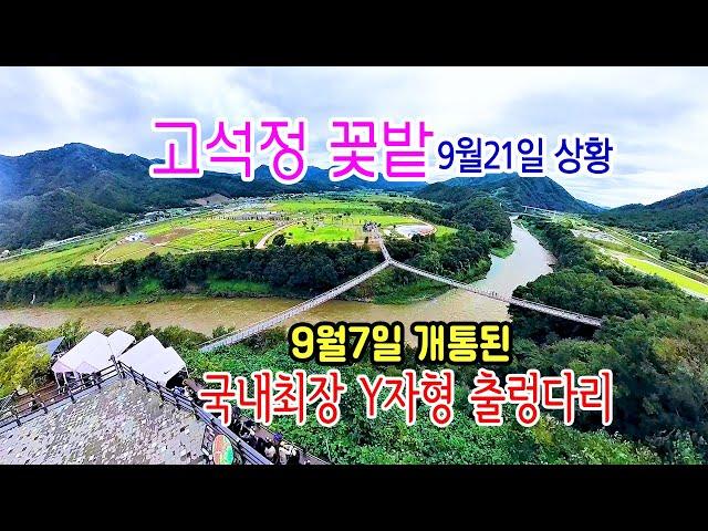 철원고석정 꽃밭의 9월21일 모습과  포천에 새로 들어선 국내 최장 Y자형 출렁다리를 소개합니다 #철원고석정꽃밭 #고석정  #포천출렁다리 #포천경관생태단지#포천Y자형출렁다리