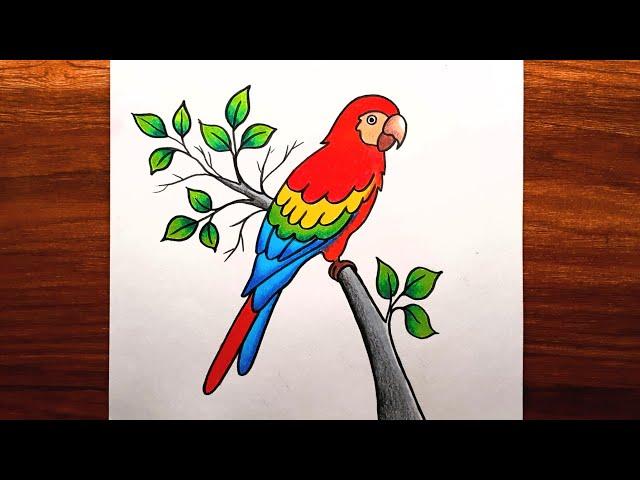 Parrot Drawing Step by Step || How to Draw Parrot || Parrot Drawing Colour.