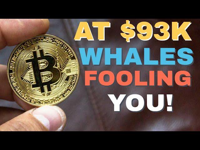 Why Bitcoin’s Price Is Fooling You – And How to See the Truth