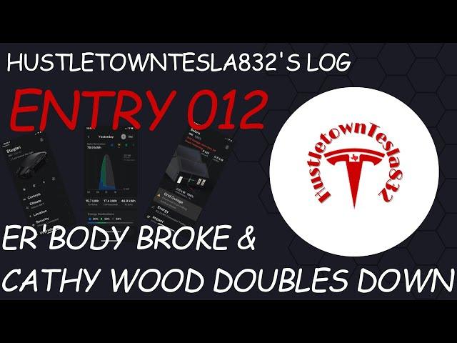 HUSTLETOWNTESLA832'S LOG: ENTRY 012 ER'BODY BROKE AND CATHY WOOD DOUBLES DOWN!