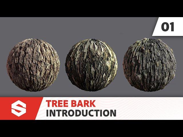 Tree Bark - Introduction | Adobe Substance 3D