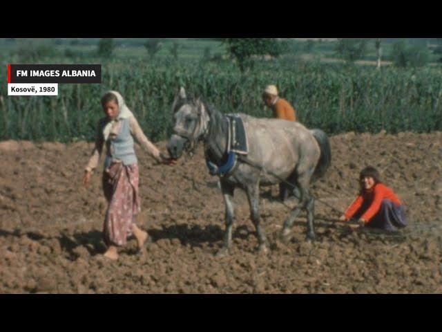 Kosovo, 1980: Jeta në Kosovë në vitin 1980