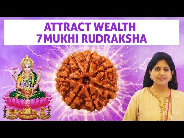 7 Mukhi Rudraksha Benefits | Attract Wealth Abundance & Luck With Saat Mukhi Rudraksha