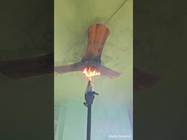 Happy Diwali Folks  #india #funny #ceilingfan #tiktok #diy #shortvideo #shorts