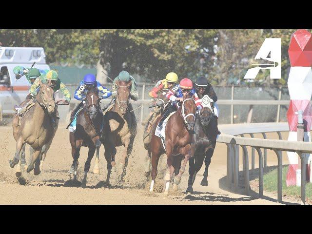 Belmont at the Big A Simulcast - October 13, 2024