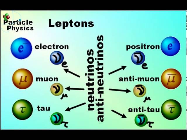 Particle Physics Leptons