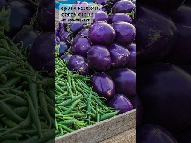 Green Chili Import to Dubai | Qezla Exports +919550193271