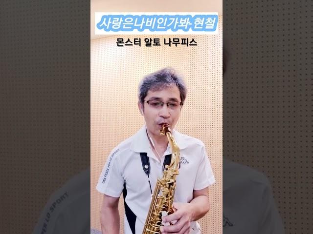 사랑은 나비 인가봐/현철/소리깡패/몬스터 알토 나무피스/구매문의:010-5303-8402