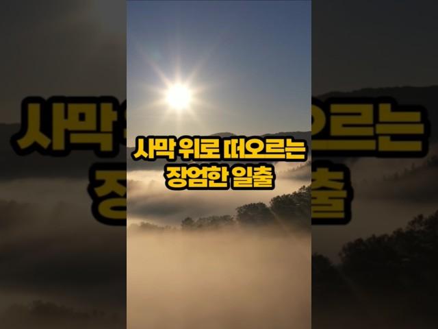 국경을 넘어 하루 만에 만나는 두 나라 "남아공&나미비아"
