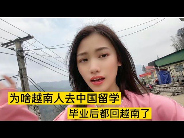 为什么很多越南留学生到中国留学毕业后都选择回越南？