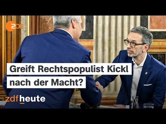 Wahl in Österreich: FPÖ wird erstmals stärkste Kraft