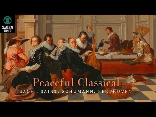 [無廣告版]  讓人心情平靜古典音樂合集 - Calm & Peaceful Classical Music