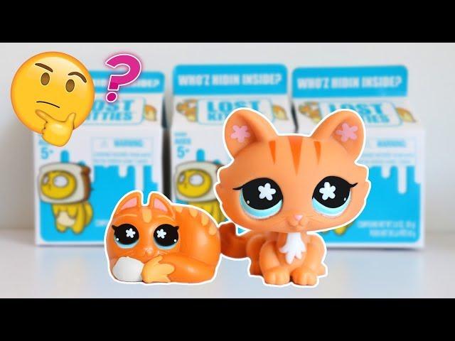 IS HASBRO REPLACING LPS?! || Lost Kitties