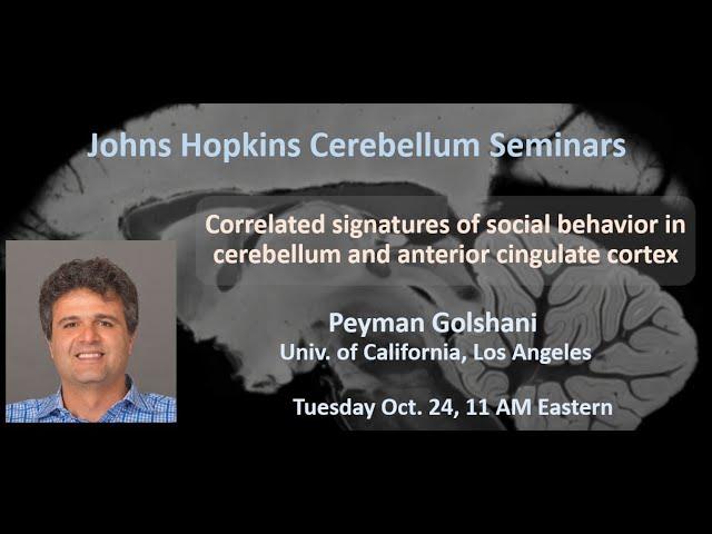 Payman Golshani: Correlated signatures of social behavior in cerebellum and anterior cingulate